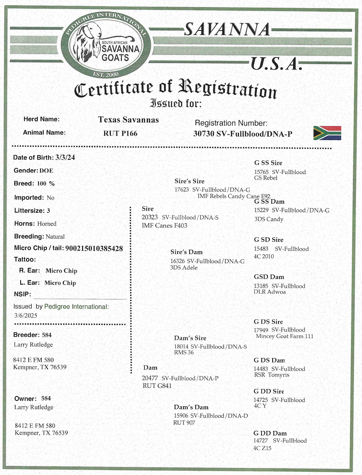 Screenshot 2025-07-06 at 5.19.46 PM